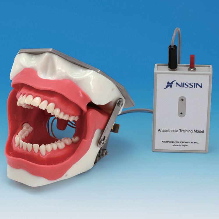 Conduction Anesthesia Model (SUG2005-UL-SP)